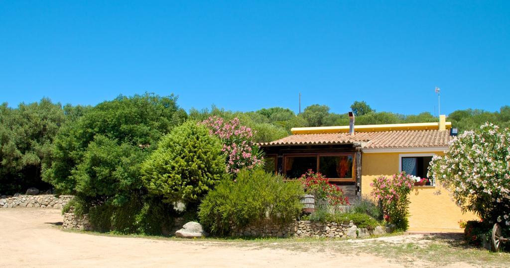 Вилла Agriturismo Sardo Campavaglio Экстерьер фото