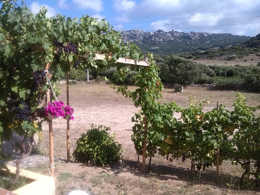 Вилла Agriturismo Sardo Campavaglio Экстерьер фото