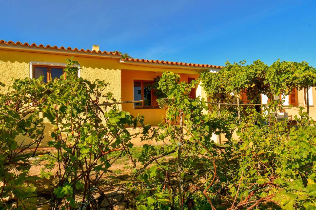 Вилла Agriturismo Sardo Campavaglio Экстерьер фото